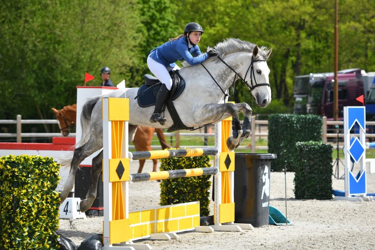 Spring- en dressuurles