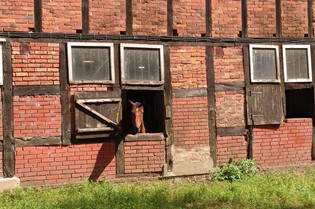horse, horse stable, half-timbered house-13287.jpg